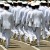 Navy cadets marching